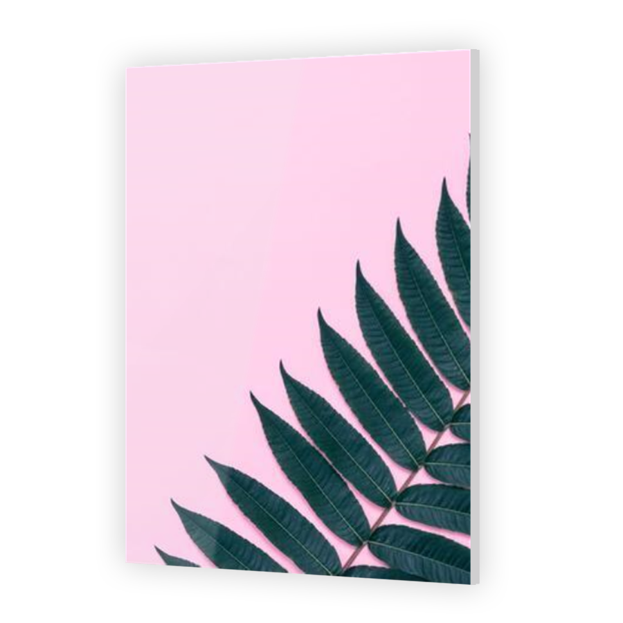Thumbnail for Acrylic