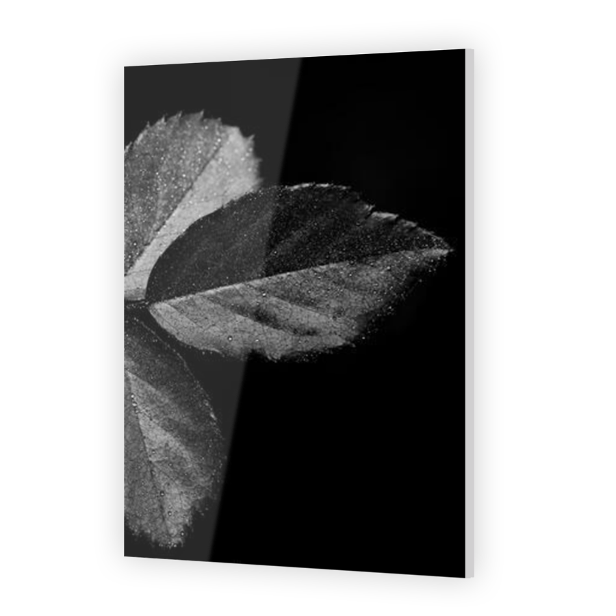 Thumbnail for Acrylic