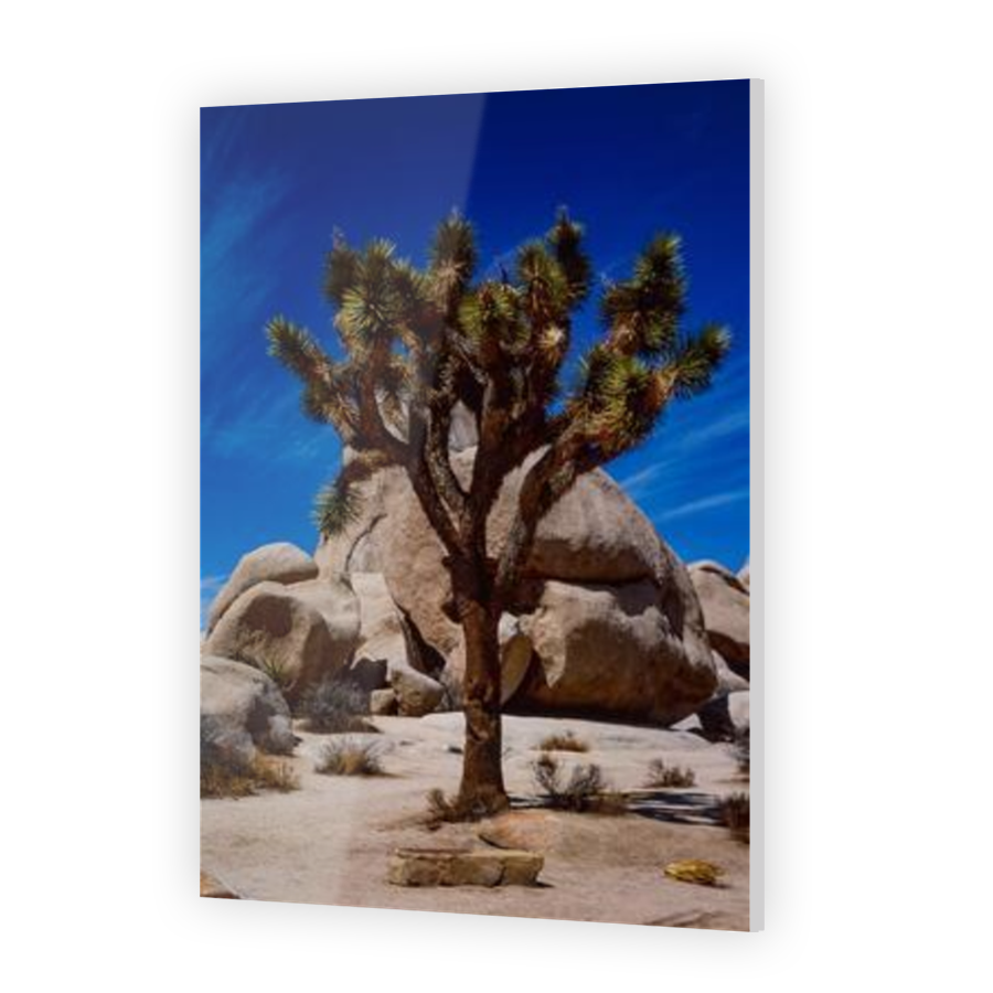 Thumbnail for Acrylic