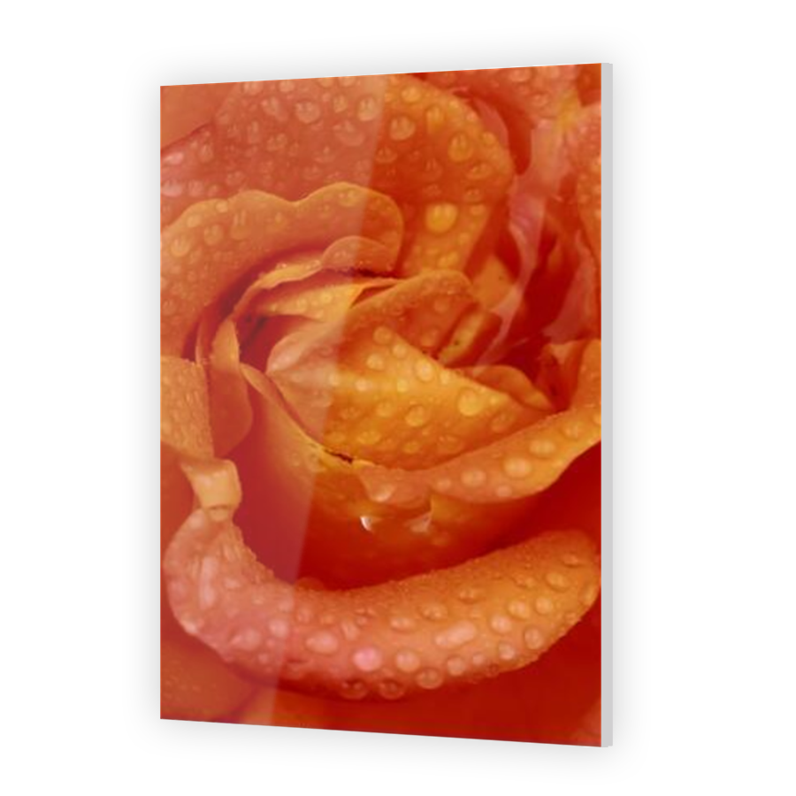 Thumbnail for Acrylic