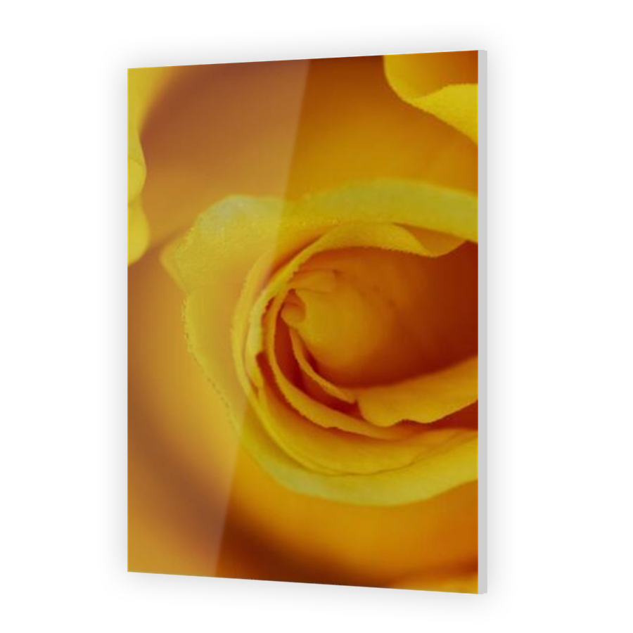 Thumbnail for Acrylic