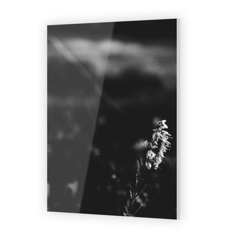 Thumbnail for Acrylic