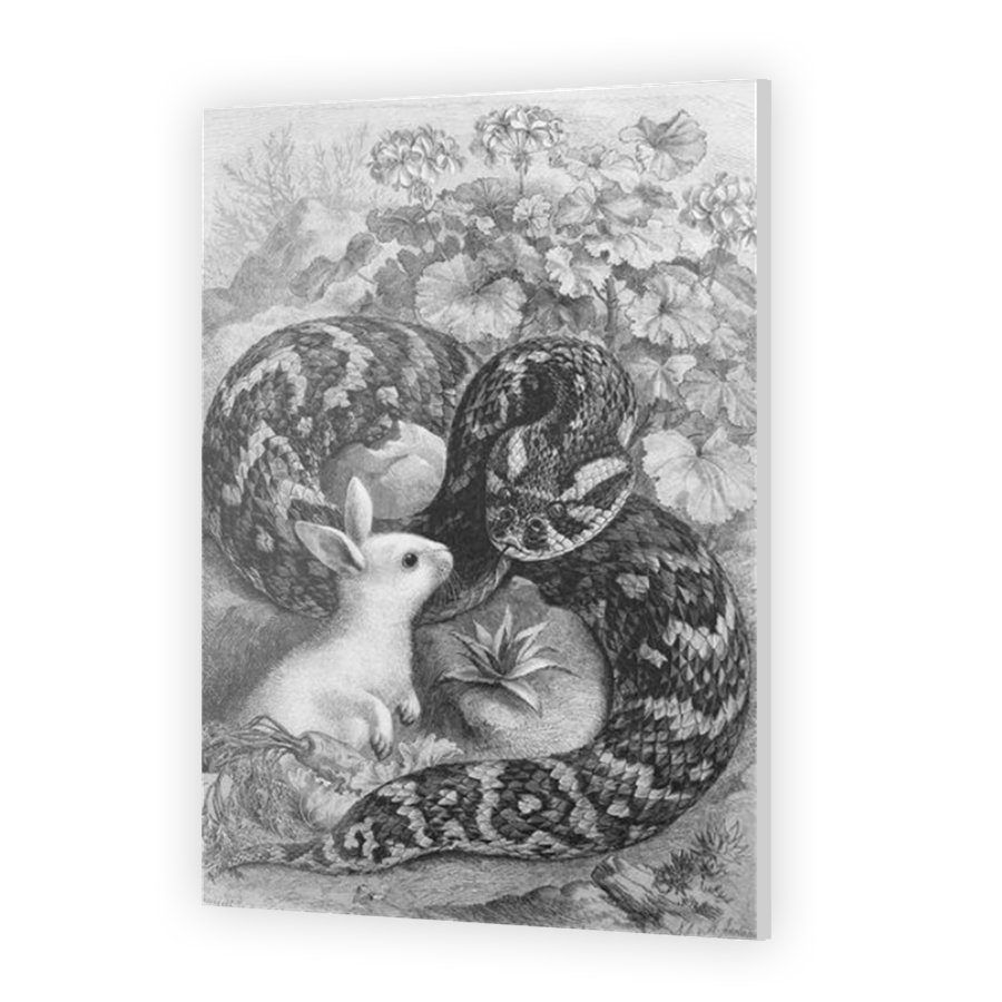 Thumbnail for Acrylic
