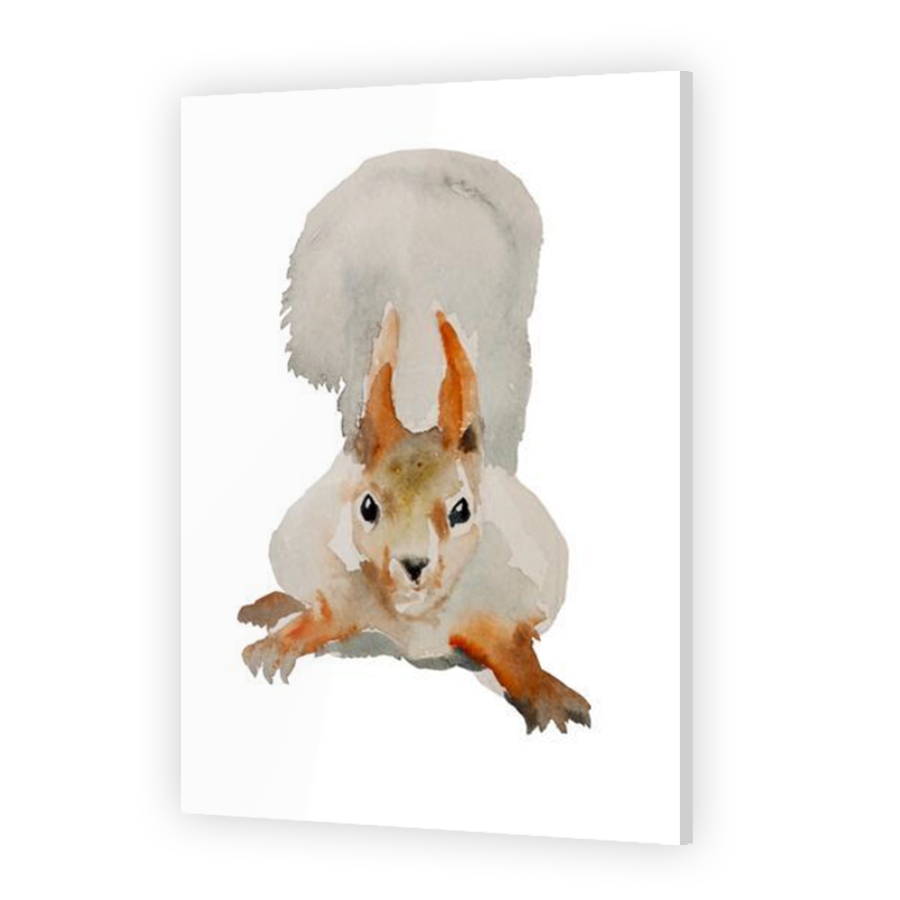 Thumbnail for Acrylic