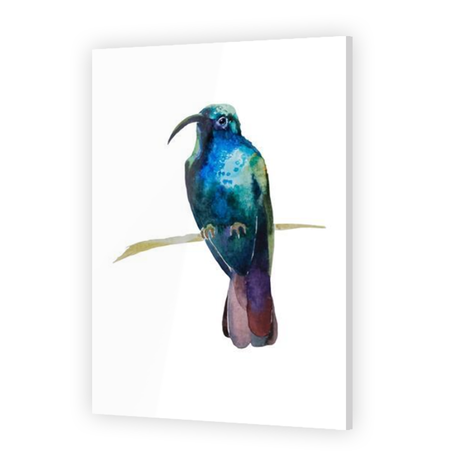 Thumbnail for Acrylic