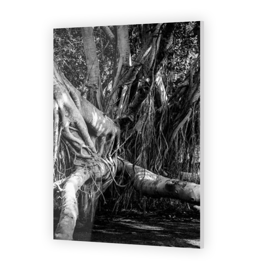 Thumbnail for Acrylic