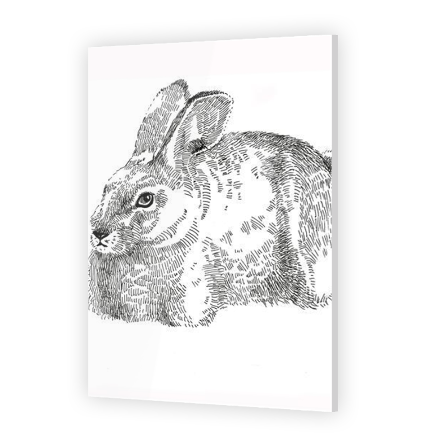 Thumbnail for Acrylic