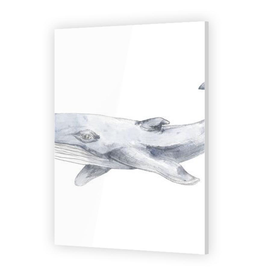 Thumbnail for Acrylic