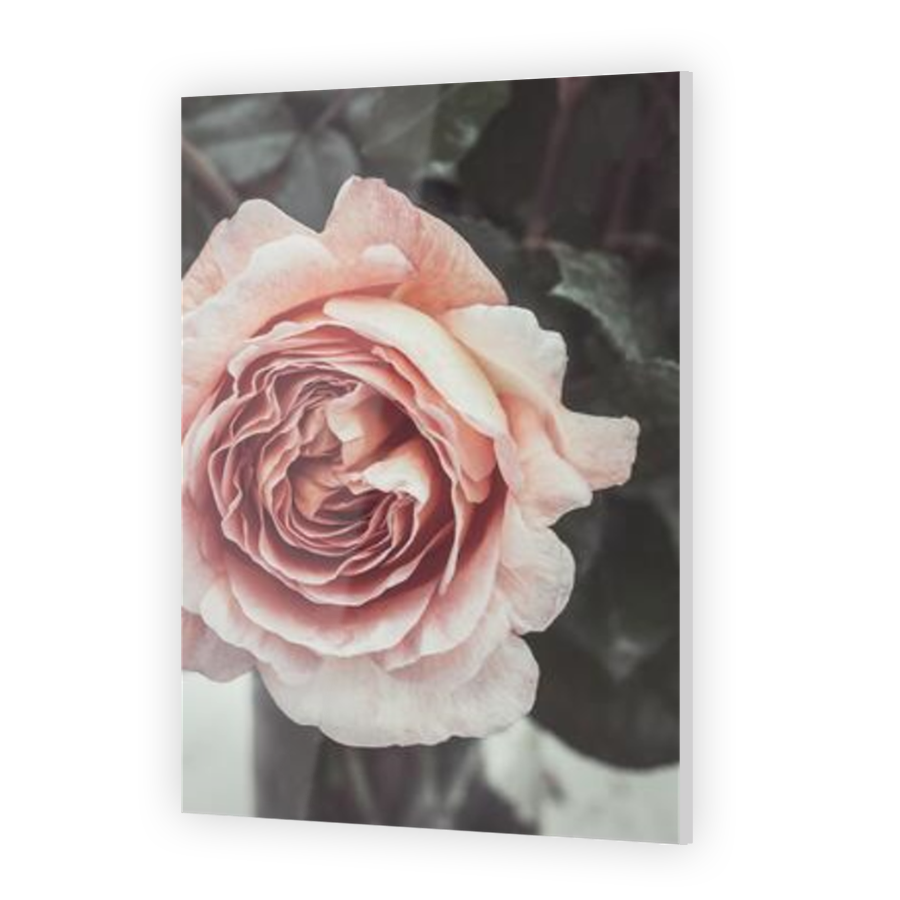 Thumbnail for Acrylic