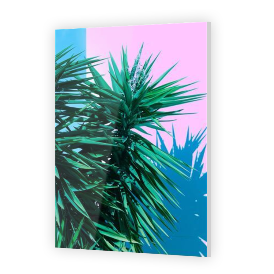 Thumbnail for Acrylic