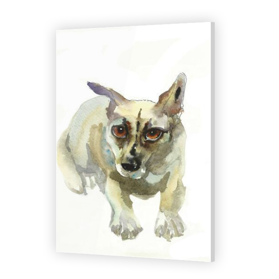 Thumbnail for Acrylic