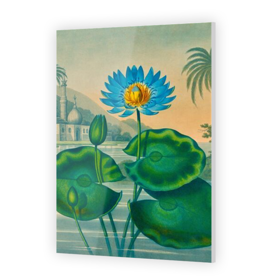Thumbnail for Acrylic