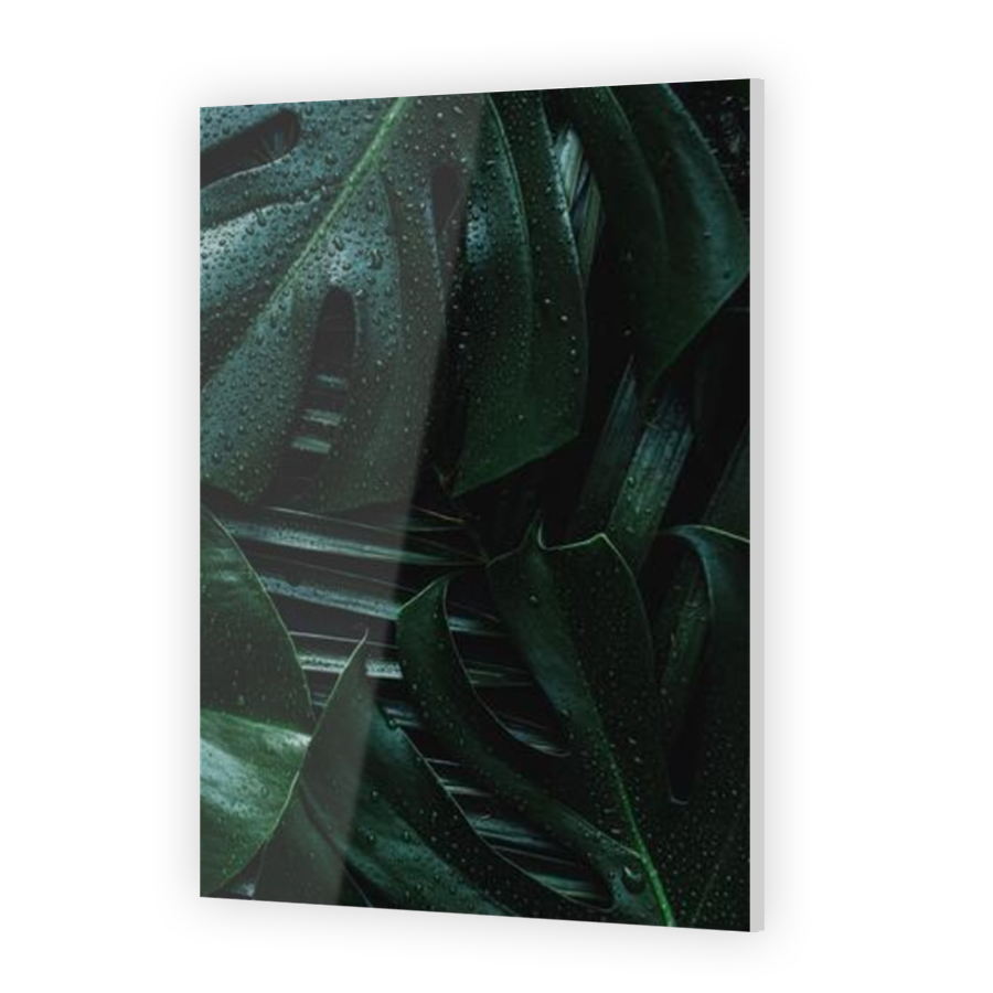 Thumbnail for Acrylic