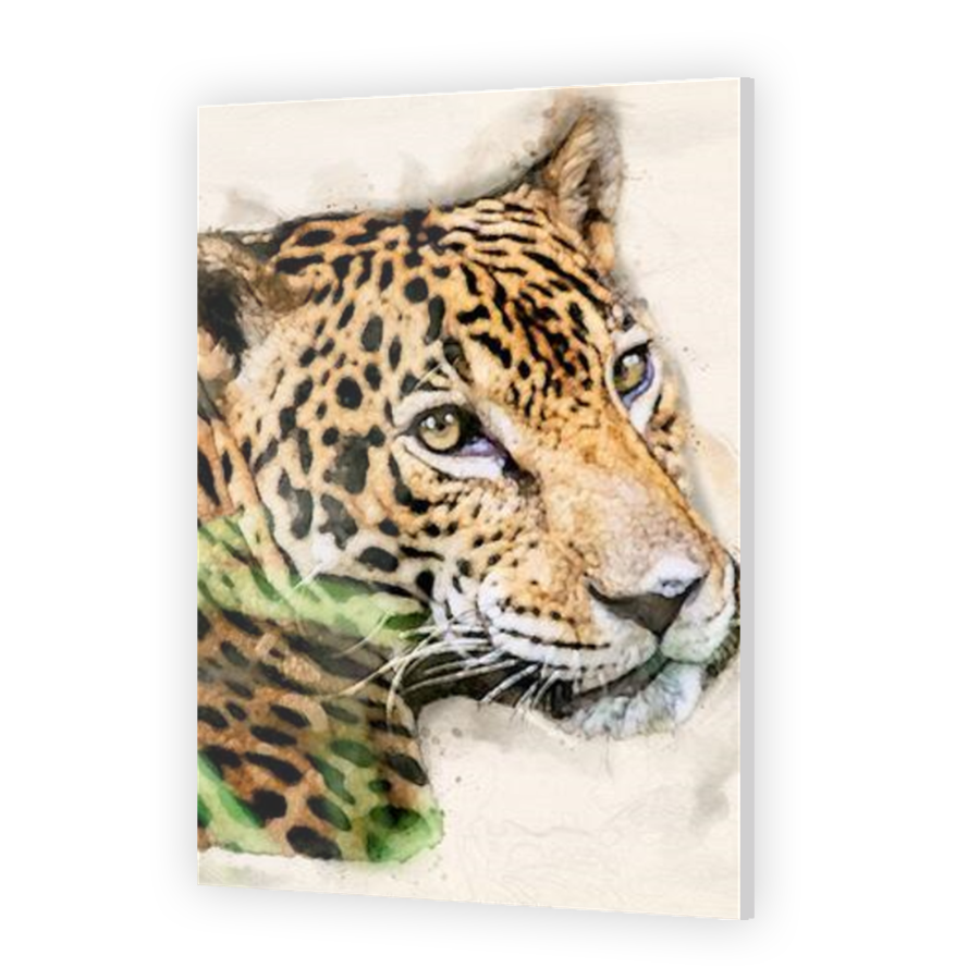 Thumbnail for Acrylic