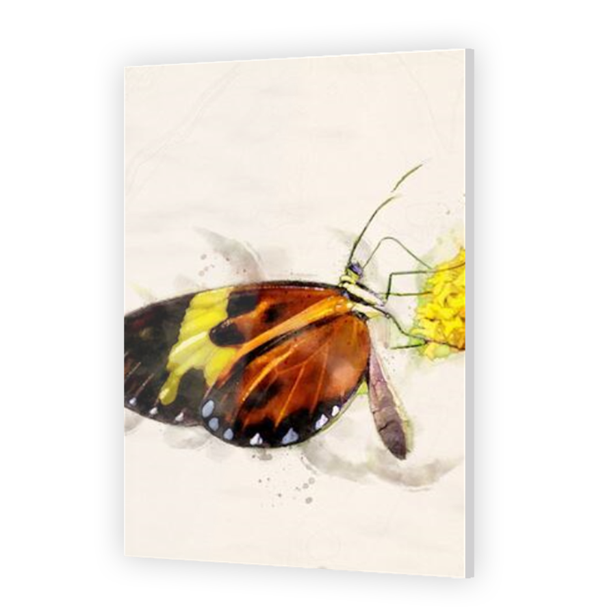 Thumbnail for Acrylic