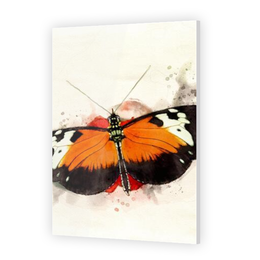 Thumbnail for Acrylic