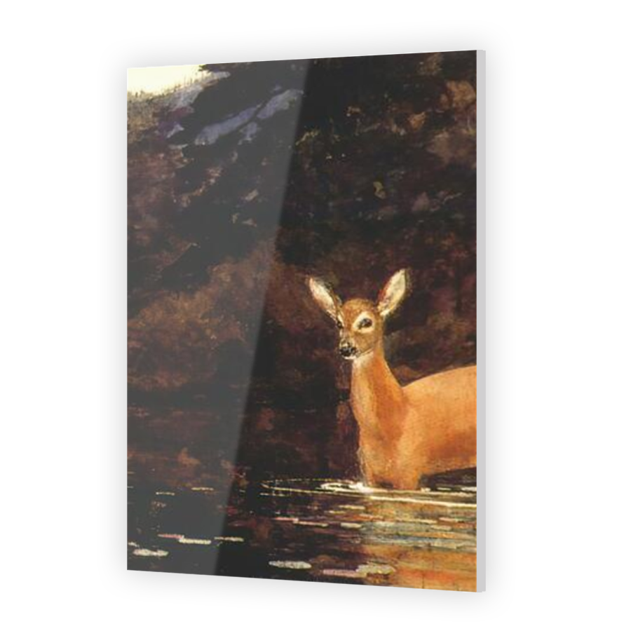 Thumbnail for Acrylic