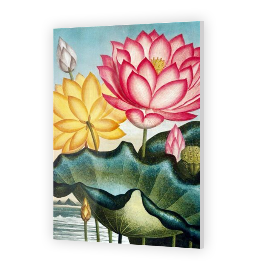 Thumbnail for Acrylic