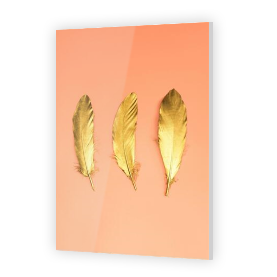 Thumbnail for Acrylic