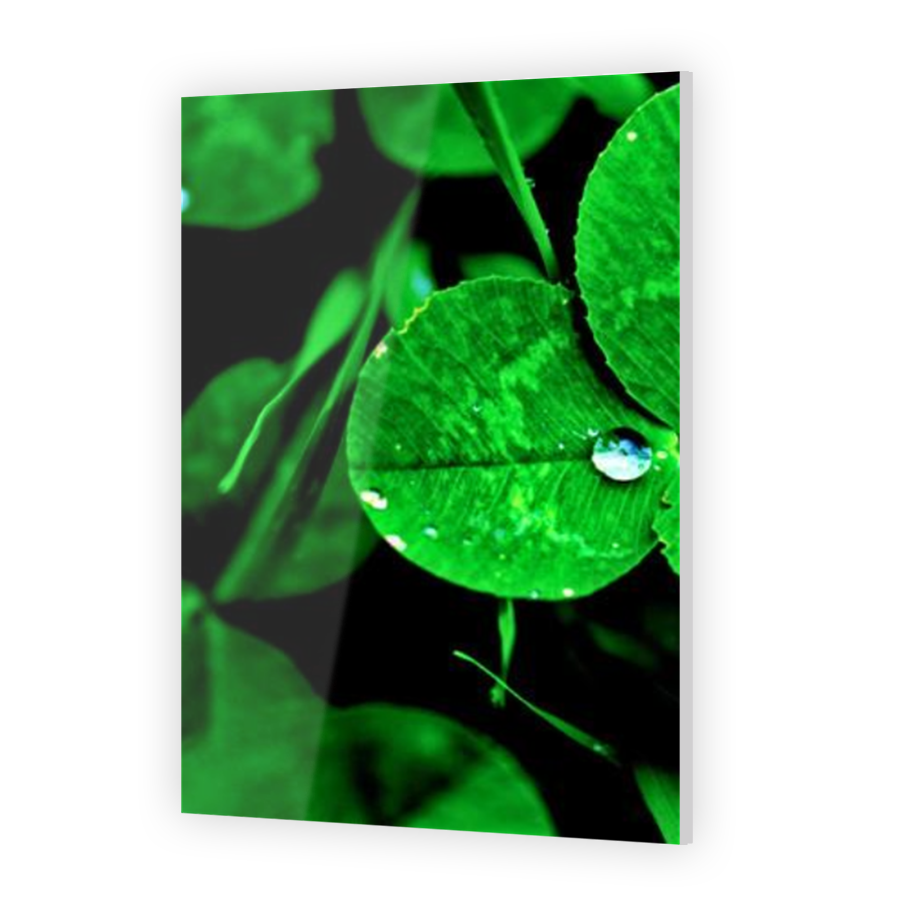 Thumbnail for Acrylic