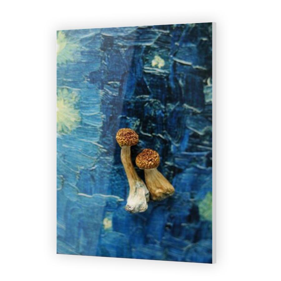 Thumbnail for Acrylic
