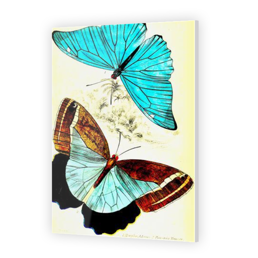 Thumbnail for Acrylic