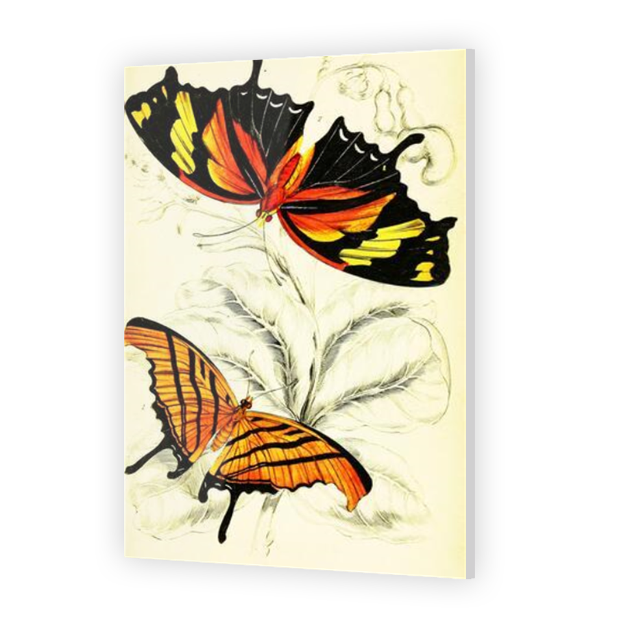 Thumbnail for Acrylic