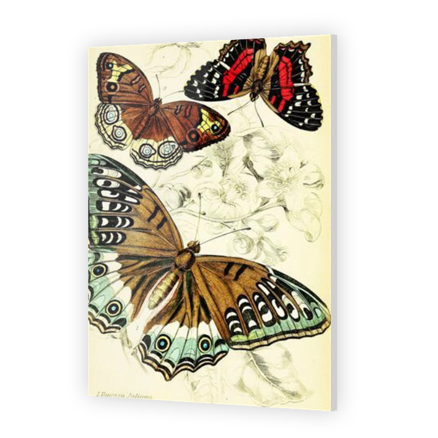 Thumbnail for Acrylic