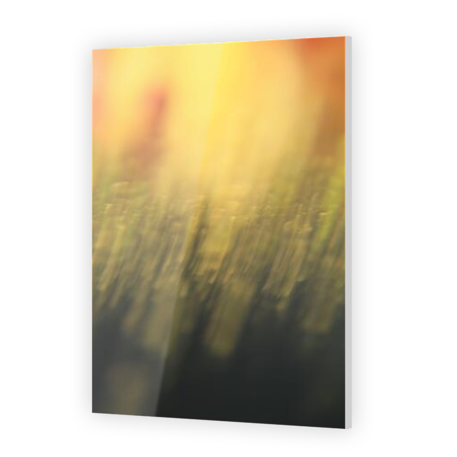 Thumbnail for Acrylic