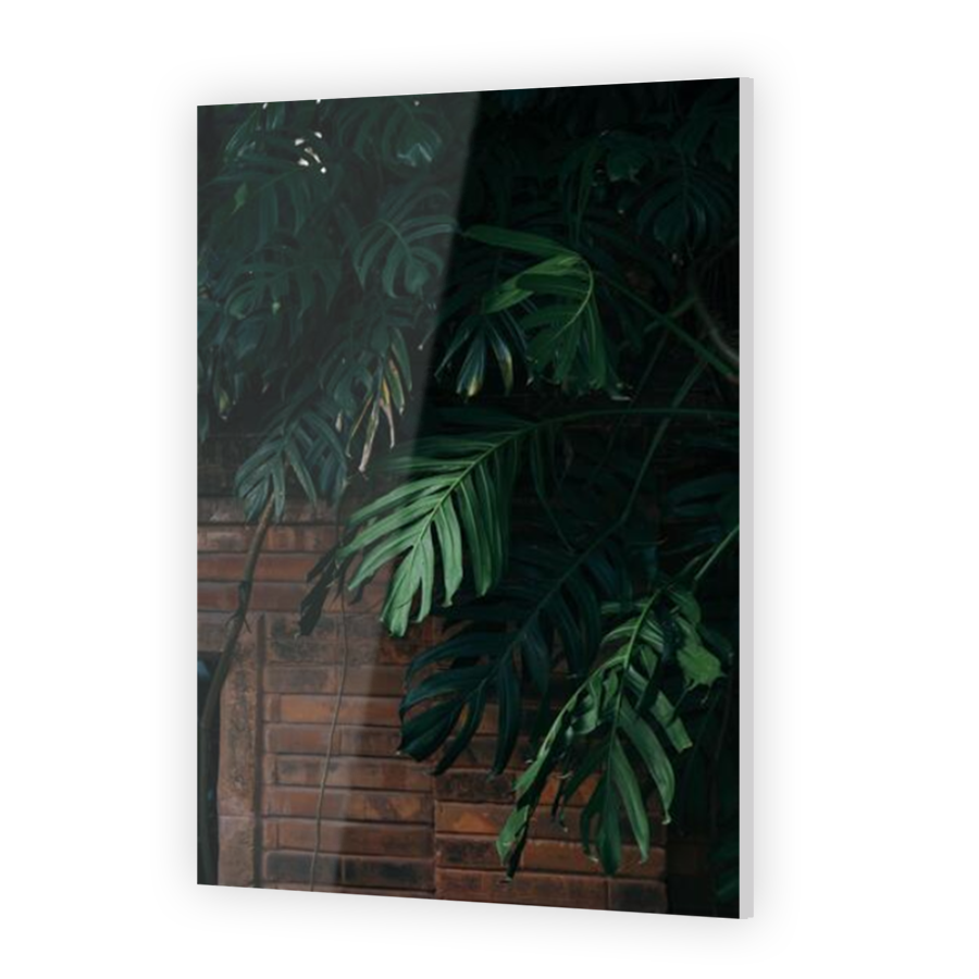 Thumbnail for Acrylic