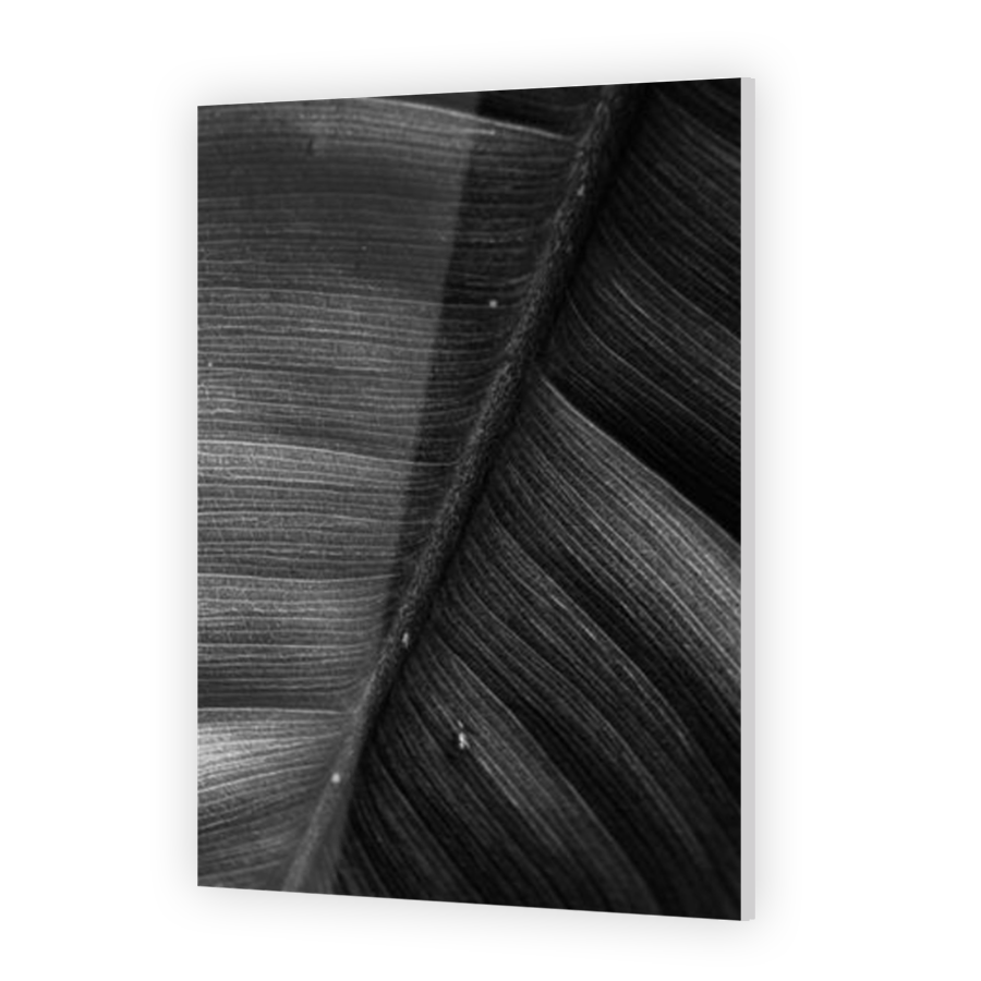 Thumbnail for Acrylic