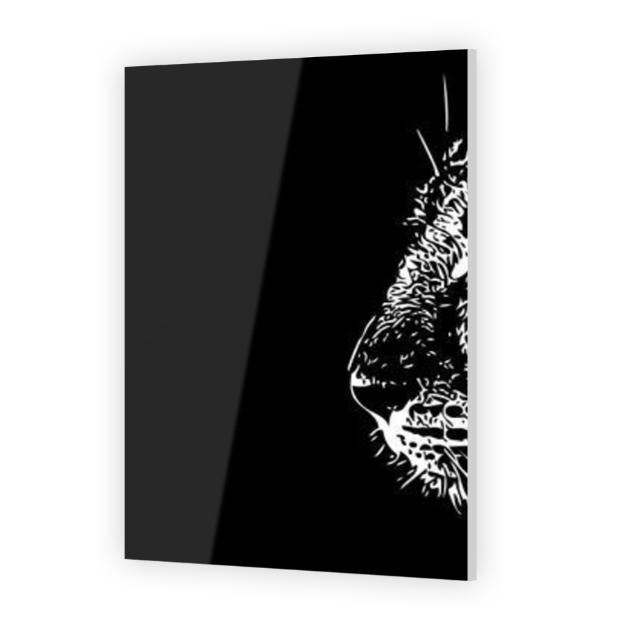Thumbnail for Acrylic