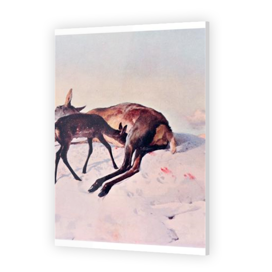 Thumbnail for Acrylic