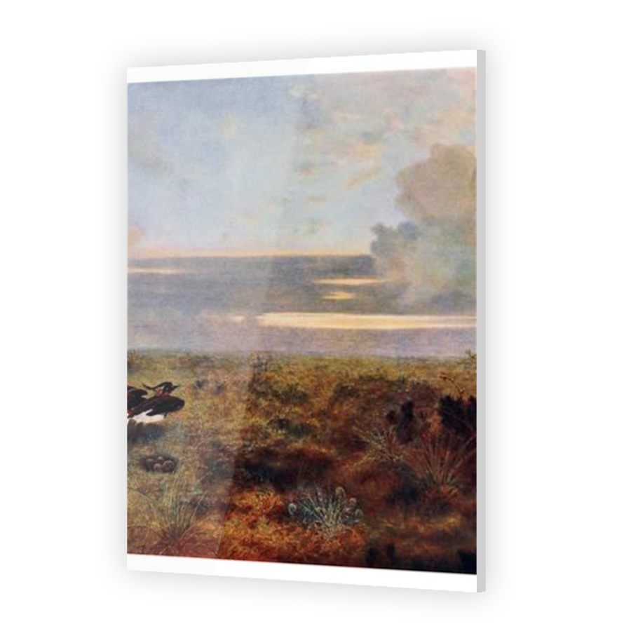 Thumbnail for Acrylic