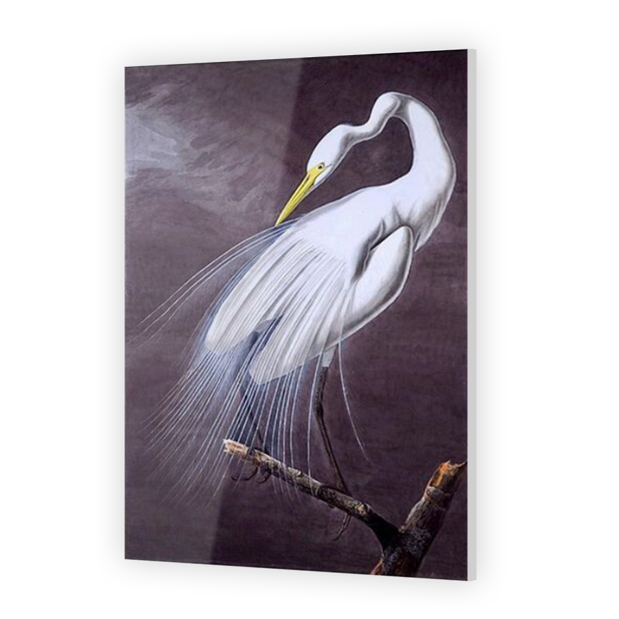 Thumbnail for Acrylic
