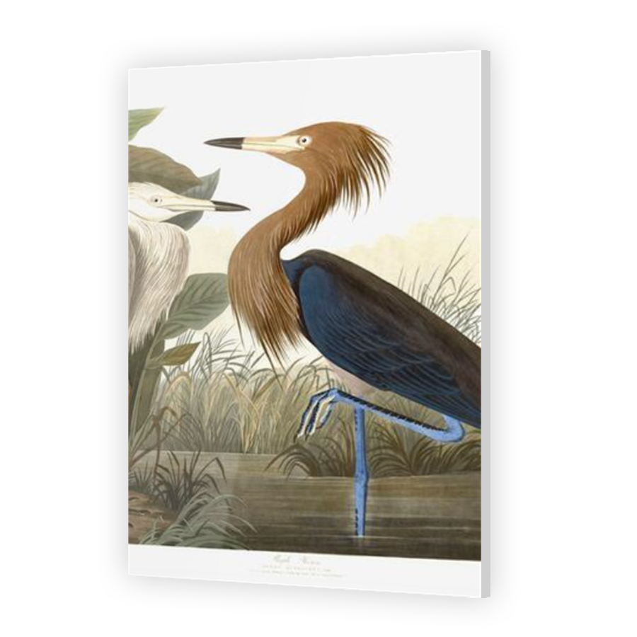 Thumbnail for Acrylic