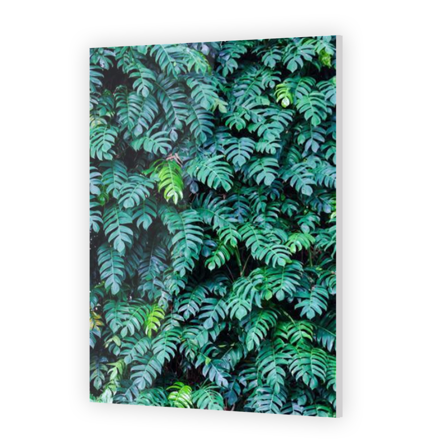 Thumbnail for Acrylic