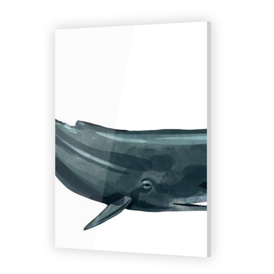 Thumbnail for Acrylic
