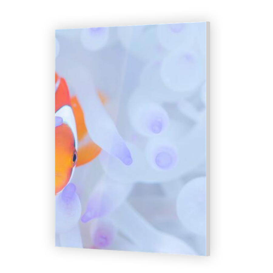 Thumbnail for Acrylic