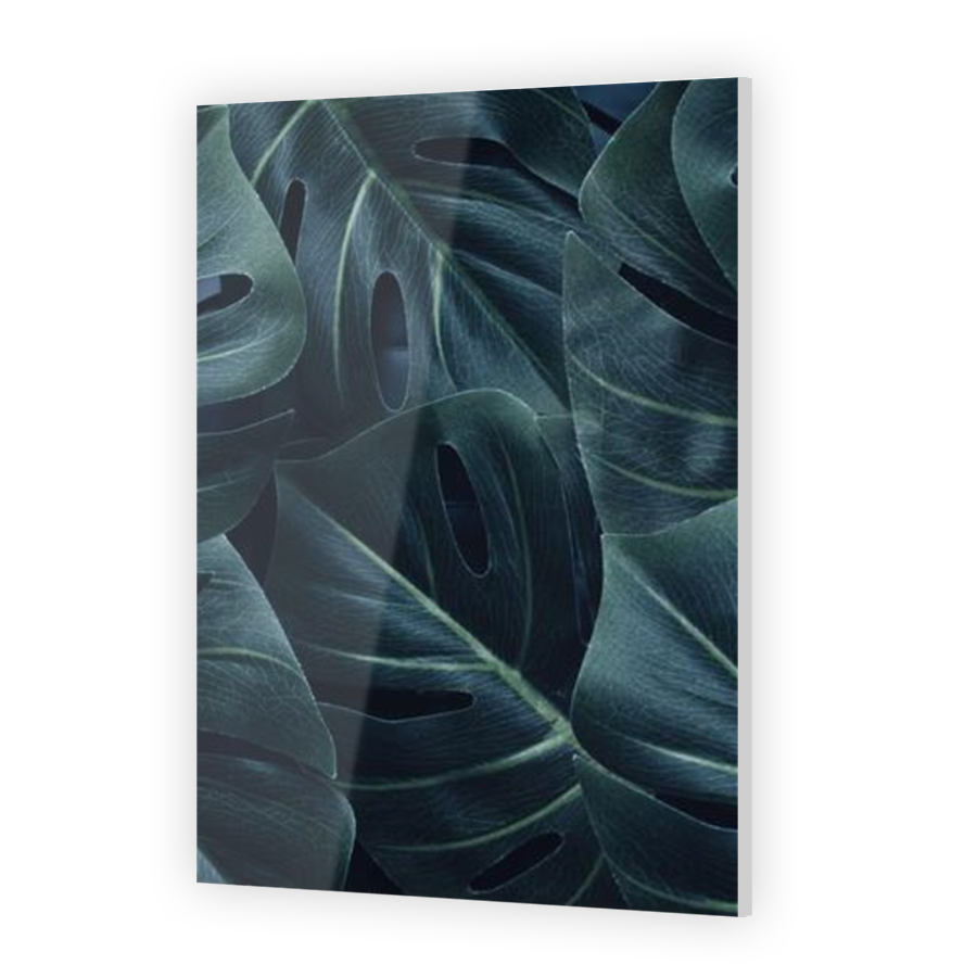 Thumbnail for Acrylic