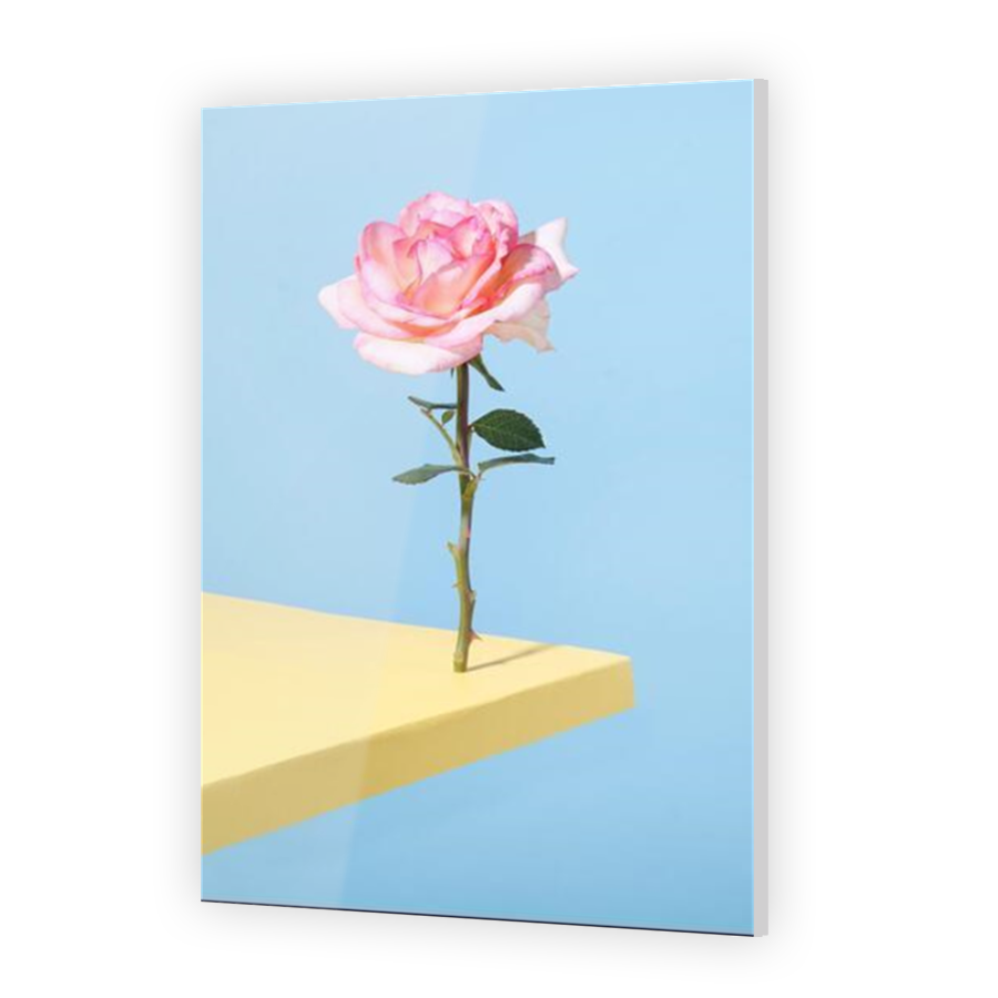 Thumbnail for Acrylic