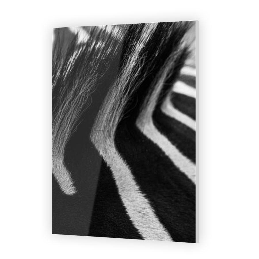 Thumbnail for Acrylic