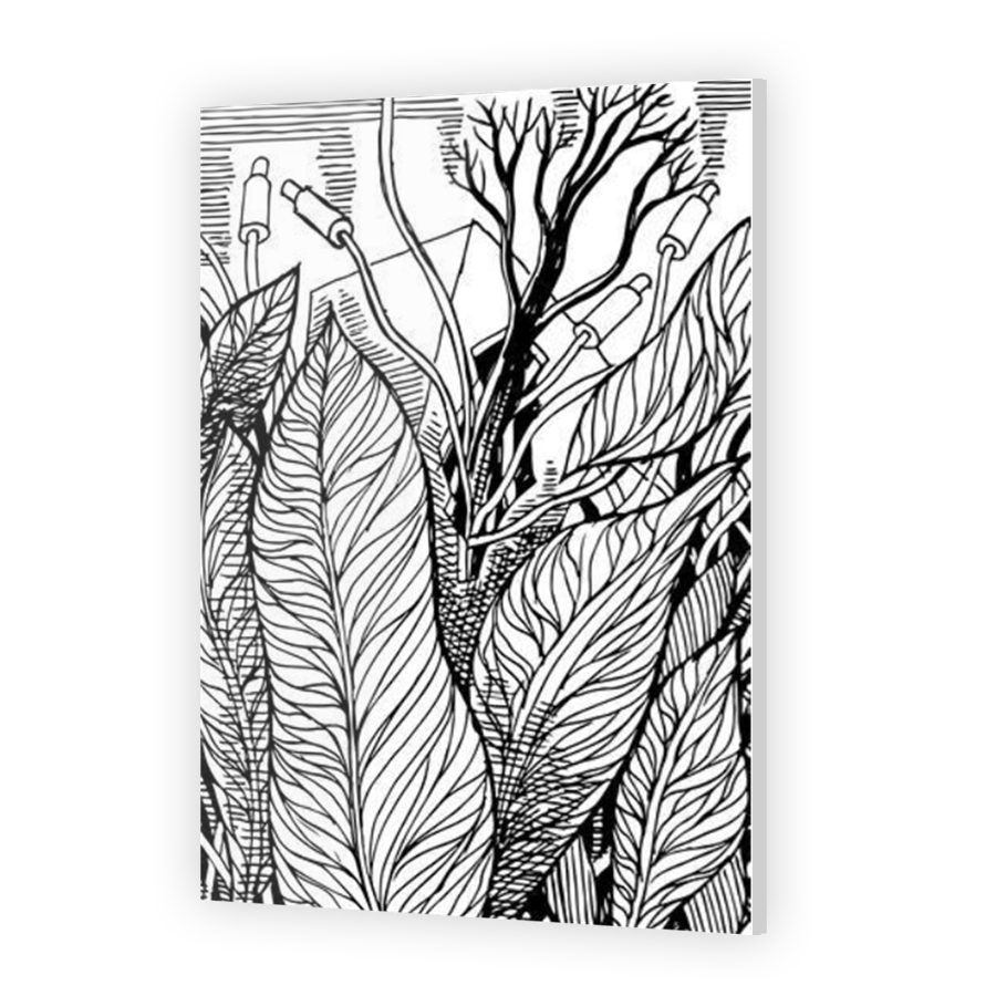 Thumbnail for Acrylic