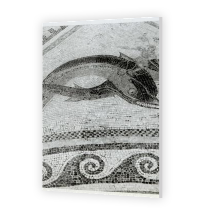 Thumbnail for Acrylic