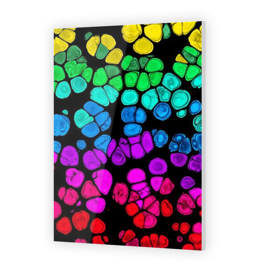 Thumbnail for Acrylic