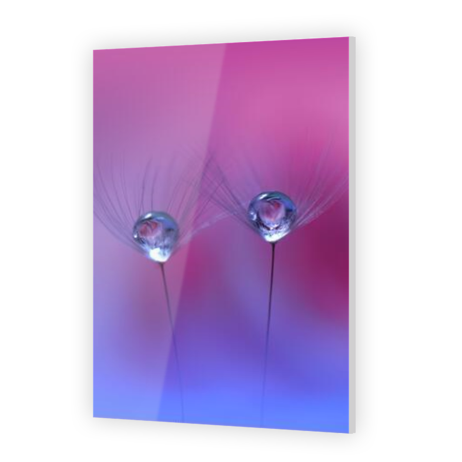 Thumbnail for Acrylic