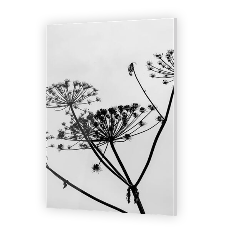 Thumbnail for Acrylic