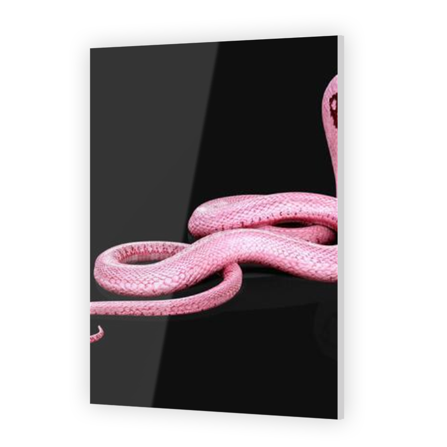 Thumbnail for Acrylic