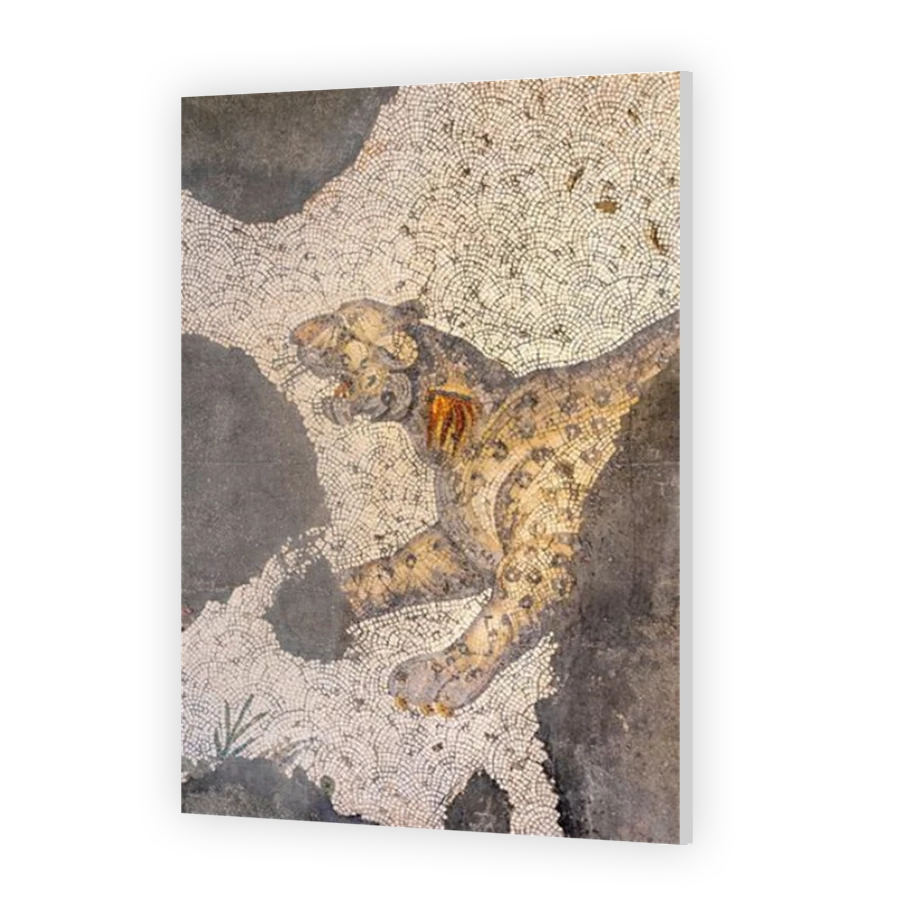 Thumbnail for Acrylic