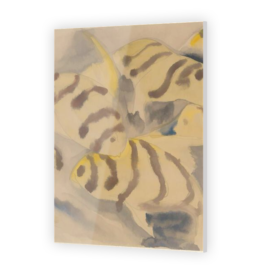 Thumbnail for Acrylic